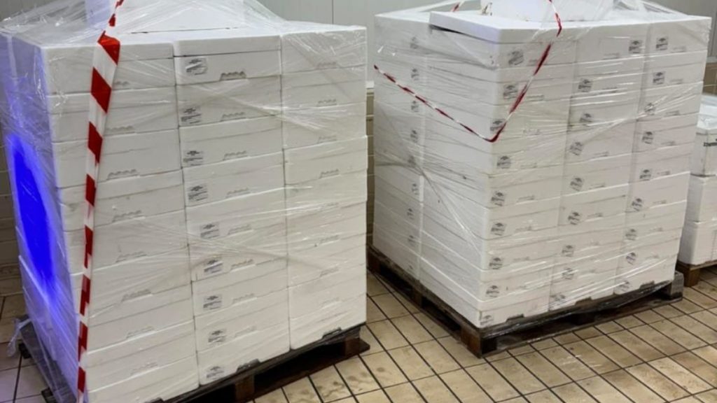 Καβάλα: Κατασχέθηκαν πάνω από δύο τόνοι παράνομα αλιευμένων ψαριών