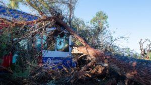 Νέα Αριστερά για πτώση δέντρου σε τρένο: “Διαχρονικό πρόβλημα εγκατάλειψης κι ελλιπούς συντήρησης στο δίκτυο”