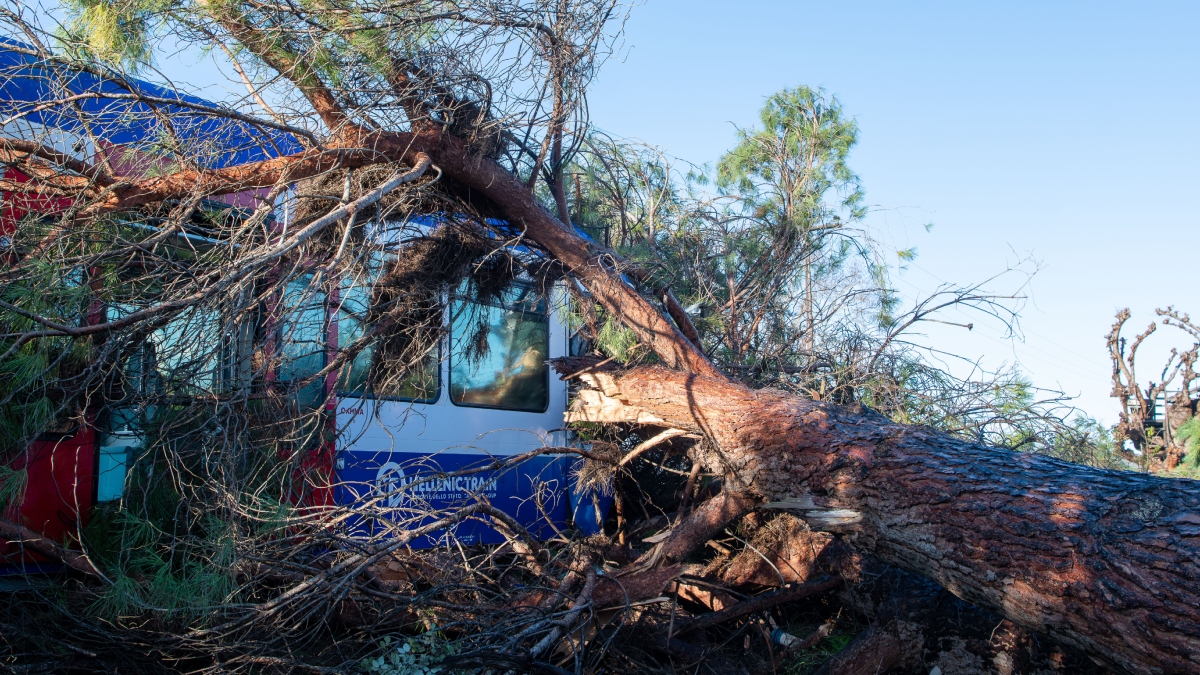 Νέα Αριστερά για πτώση δέντρου σε τρένο: “Διαχρονικό πρόβλημα εγκατάλειψης κι ελλιπούς συντήρησης στο δίκτυο”