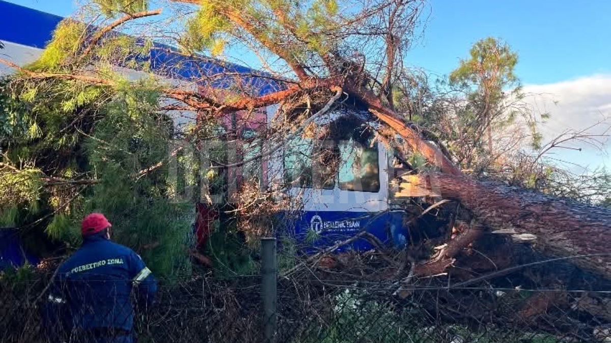 Νέες εικόνες από το ατύχημα με το πεύκο που έπεσε στο τρένο της γραμμής Πύργος – Κατάκολο