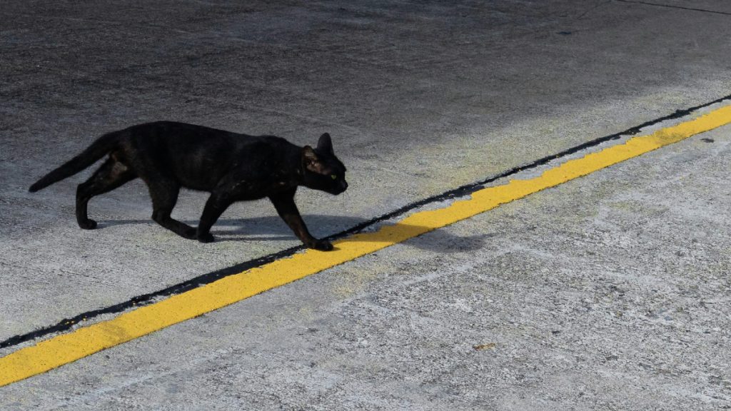 Ζώδια: Αυτά τα 3 θα είναι τα πιο άτυχα του Φεβρουαρίου – Θα πρέπει να οπλιστούν με υπομονή