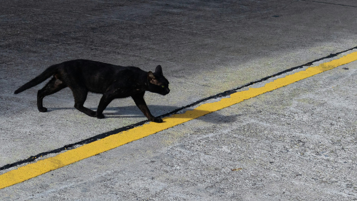 Ζώδια: Αυτά τα 3 θα είναι τα πιο άτυχα του Φεβρουαρίου – Θα πρέπει να οπλιστούν με υπομονή