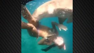 Βραζιλία: Άγρια επίθεση καρχαρία σε γυναίκα – «Ήξερα ότι με είχε δαγκώσει»