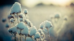 3 ζώδια που θα σταθούν ιδιαίτερα τυχερά στα τέλη Ιανουαρίου – Θα πετύχουν τους στόχους τους