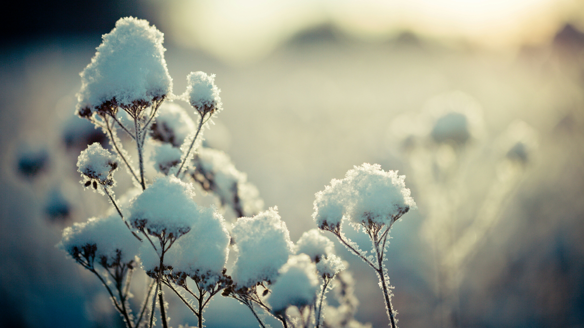 3 ζώδια που θα σταθούν ιδιαίτερα τυχερά στα τέλη Ιανουαρίου – Θα πετύχουν τους στόχους τους