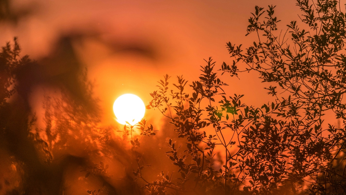 Ο Ιανουάριος του 2026 ο πέμπτος θερμότερος που καταγράφτηκε ποτέ, παρά τα κύματα ψύχους στο βόρειο ημισφαίριο