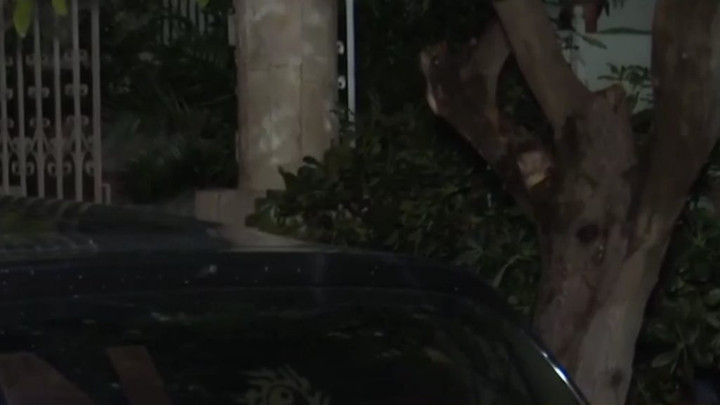 Ελευσίνα: Μόλις 2 χρόνια είχε το δίπλωμα η 44χρονη που παρέσυρε με το ΙΧ και σκότωσε τη μητέρα της