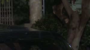 Ελευσίνα: Μόλις 2 χρόνια είχε το δίπλωμα η 44χρονη που παρέσυρε με το ΙΧ και σκότωσε τη μητέρα της