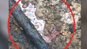 Βιολάντα: “Σάπιες” και χωρίς επαρκή μόνωση οι σωληνώσεις – Πώς βρέθηκαν τα 2 σημεία διάτρησης