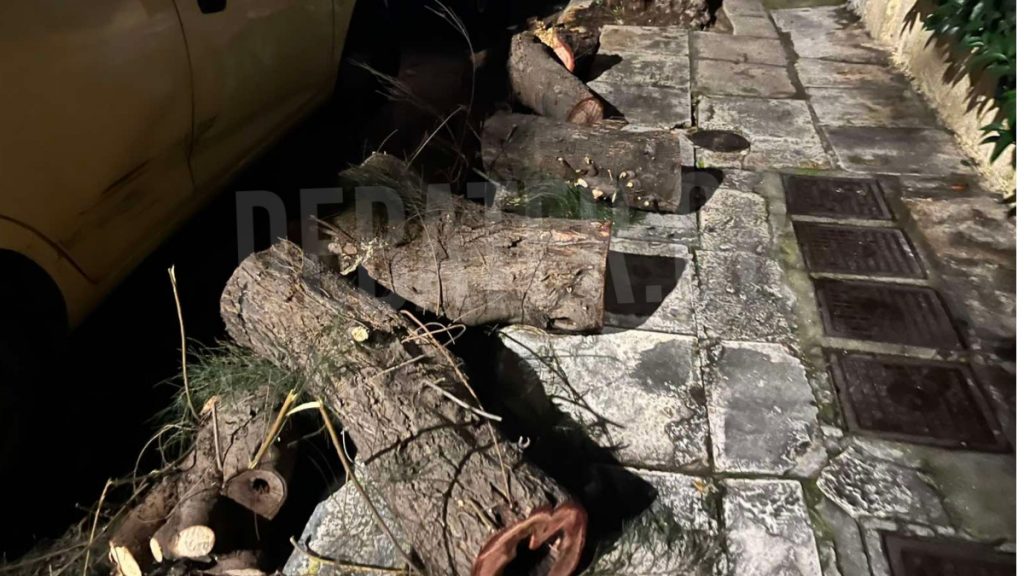 Ταύρος: Παρολίγον τραγωδία στη λαϊκή αγορά από πτώση δέντρου – “Πριν 4 χρόνια είχε πέσει στο ΙΧ μου” (Εικόνες)