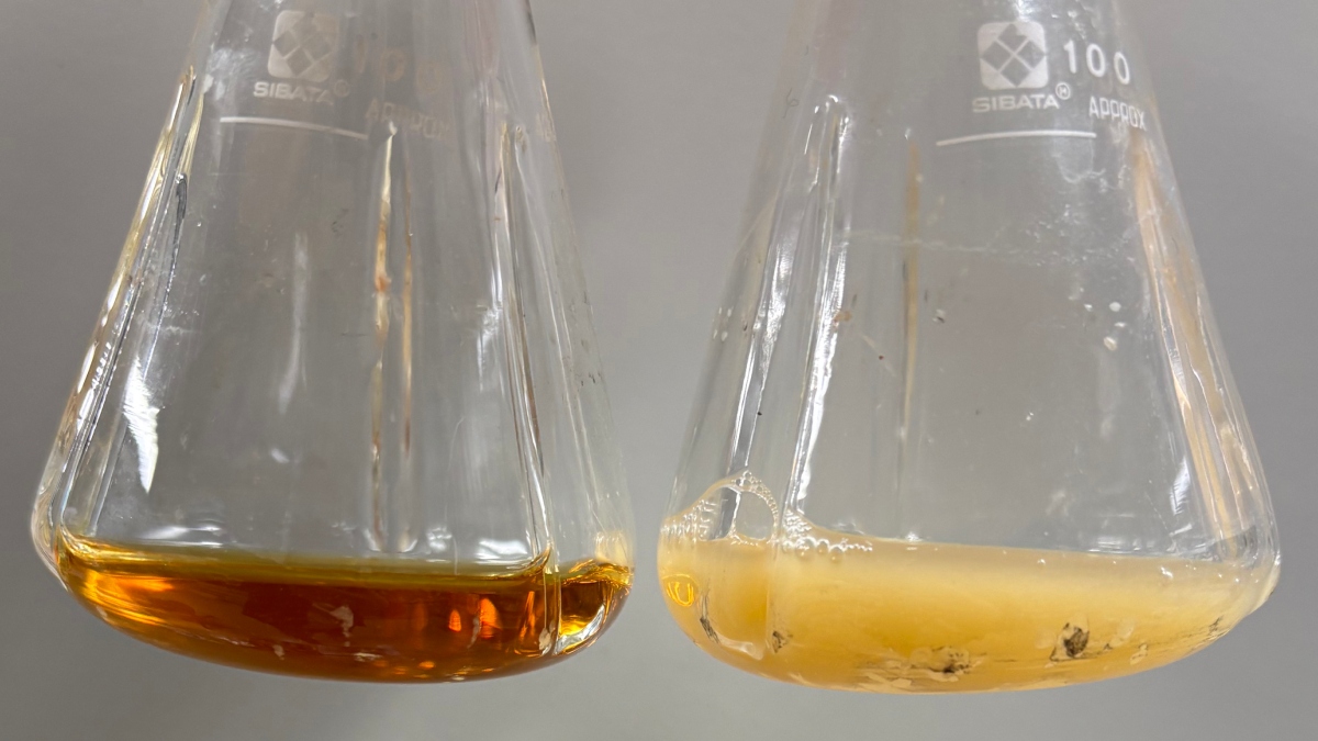 Επιστήμονες δημιούργησαν ενώσεις με αντικαρκινικές και αντιφλεγμονώδεις ιδιότητες από βακτήρια E.coli