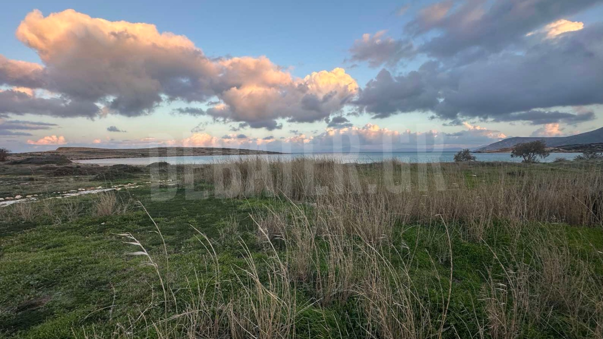 Κουφονήσια