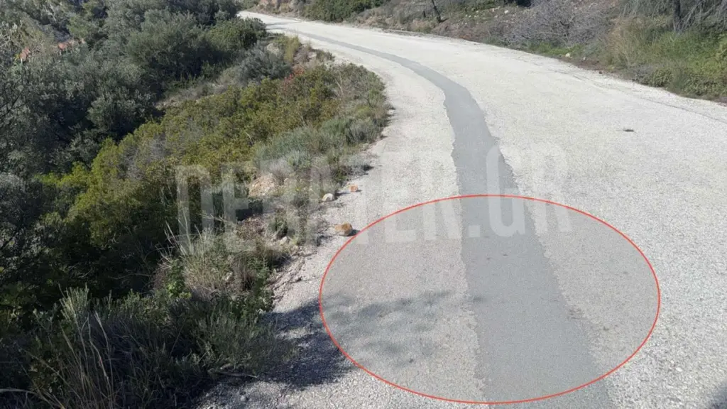 Λουτράκι: Εξιχνιάστηκε η δολοφονία του 17χρονου από τον ανήλικο δράστη – Η ανακοίνωση της ΕΛΑΣ