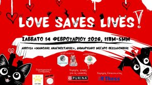 Θεσσαλονίκη: Τα αδέσποτα θα ψάξουν για νέους κηδεμόνες ανήμερα του Αγίου Βαλεντίνου