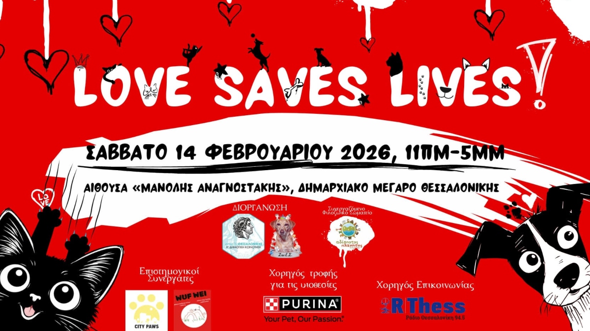 Θεσσαλονίκη: Τα αδέσποτα θα ψάξουν για νέους κηδεμόνες ανήμερα του Αγίου Βαλεντίνου