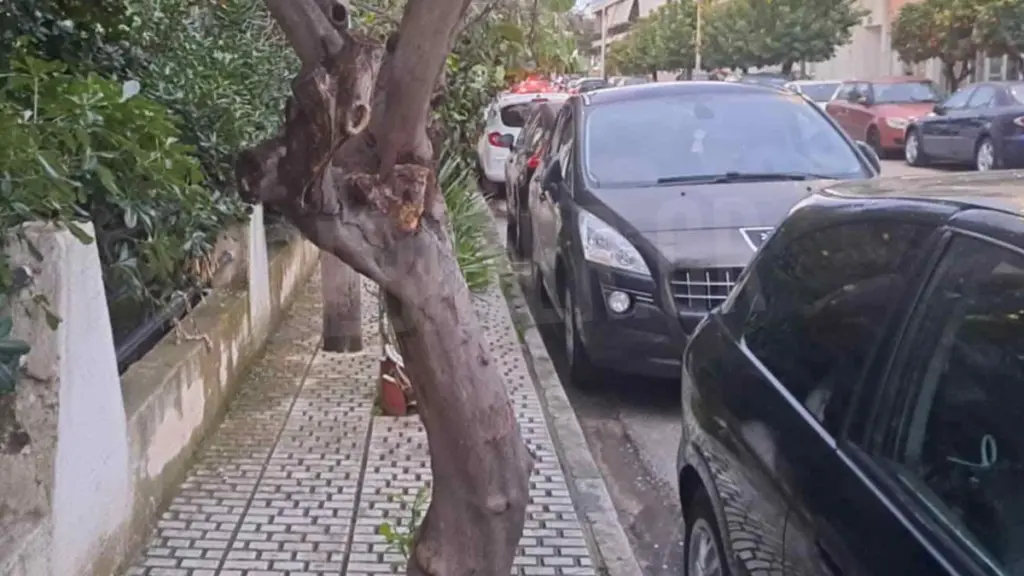 Τραγωδία στην Ελευσίνα: «Τα παιδιά δεν ξέρουν ότι πέθανε η πεθερά μου», είπε ο πρώην σύζυγος της 44χρονης (Βίντεο)