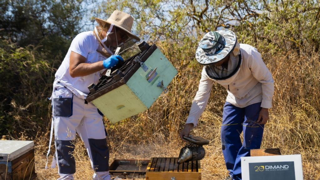 Η DIMAND εγκαινίασε την πρώτη αστική κυψέλη σε ταράτσα γραφείων – Στο ιστορικό κτίριο του ΜΙΝΙΟΝ