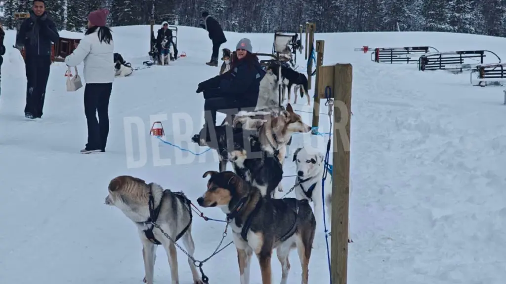 Στους -7°C με τα χάσκι: Το DEBATER στο παγωμένο μονοπάτι της Νορβηγίας (Φωτογραφίες)
