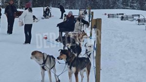 Στους -7°C με τα χάσκι: Το DEBATER στο παγωμένο μονοπάτι της Νορβηγίας (Φωτογραφίες)