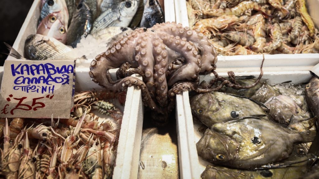 Καθαρά Δευτέρα: Εκτοξεύθηκαν οι τιμές σε καλαμάρια και χταπόδια – Πάνω από 3,30 η λαγάνα