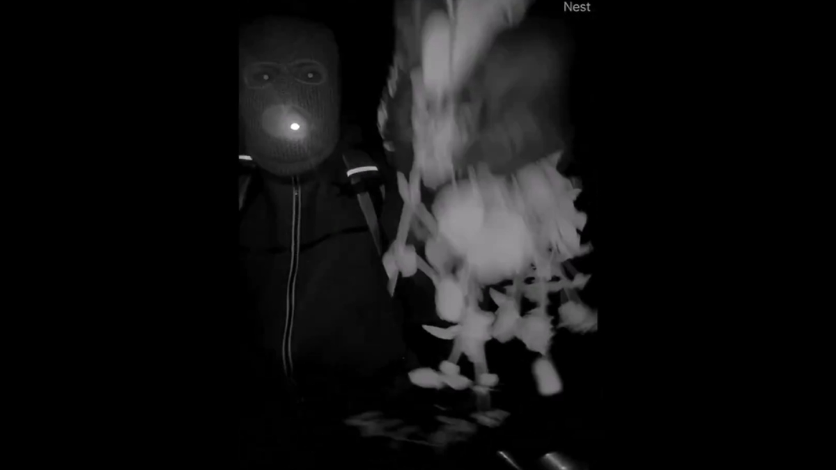 Οι Αρχές ανακρίνουν ύποπτο για την απαγωγή της μητέρας της δημοσιογράφου του NBC – Το βίντεο που κατέγραψε κάμερα ασφαλείας