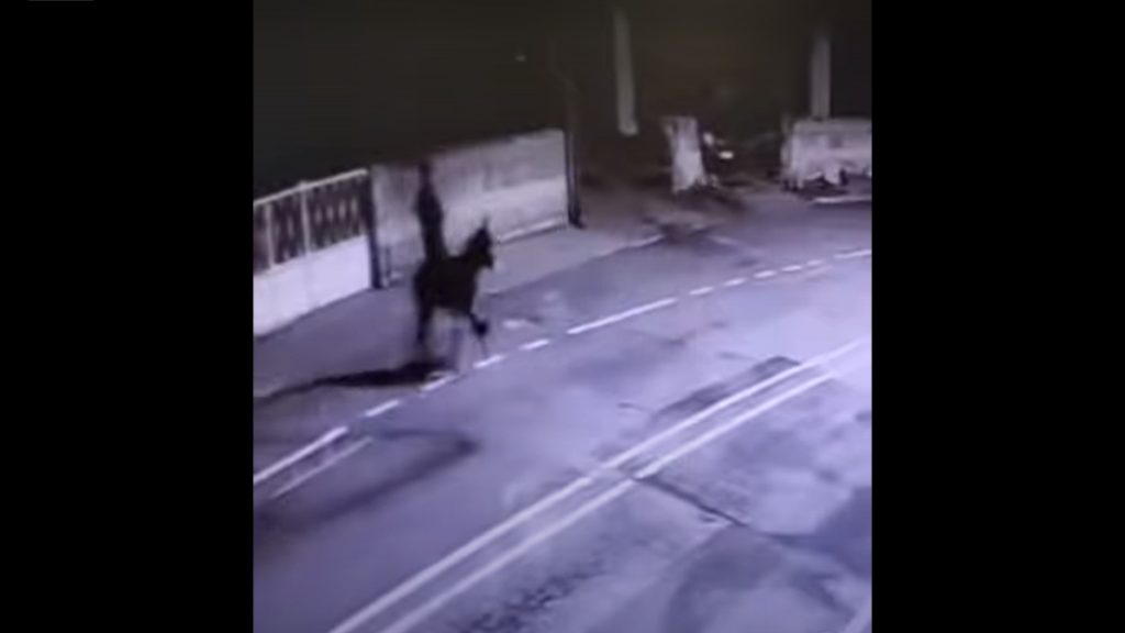 Τουρκία: 26χρονος διέρρηξε κοσμηματοπωλείο με κλαρκ και διέφυγε με… γαϊδούρι (βίντεο)