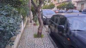 Ελευσίνα: Μητέρα 3 παιδιών η 44χρονη – “Ζούσαν όλοι μαζί οικογενειακώς, την βοηθούσε να τα μεγαλώσει”