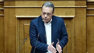 Φάμελλος: “Δεν χρειαζόμαστε ένα κράτος επιτελικό στην συγκάλυψη, αλλά αποτελεσματικό στην προστασία των πολιτών”