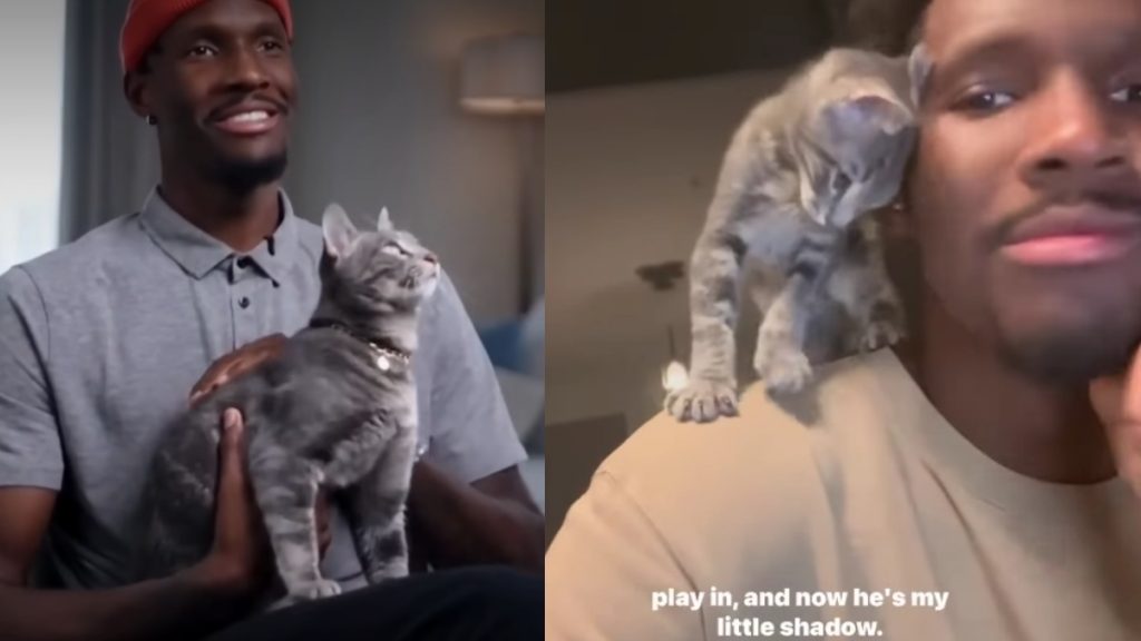 Χέιζ – Ντέιβις: Η “σκιά” του νέου άσου του Παναθηναϊκού – Πώς ξεκίνησε η σχέση του με τον Sly