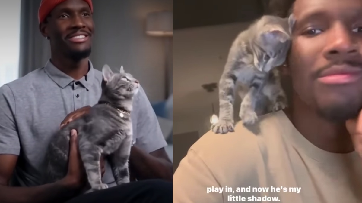 Χέιζ – Ντέιβις: Η “γκρι σκιά” του νέου άσου του Παναθηναϊκού – Πώς ξεκίνησε η σχέση του με τον γάτο Sly (βίντεο)