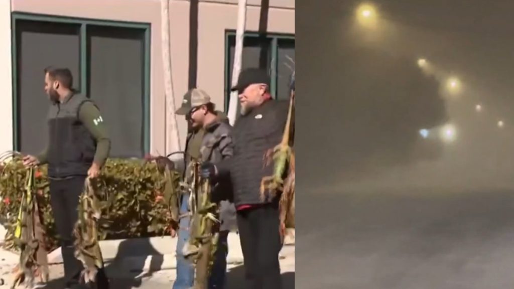 Στο ψυγείο οι ΗΠΑ: Πάγωσαν τα ιγκουάνα από το κρύο στη Φλόριντα – Φορτηγό έπεσε σε τρένο, χιλιάδες τροχαία από την χιονοθύελλα (βίντεο)