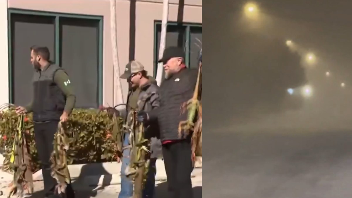 Στο ψυγείο οι ΗΠΑ: Πάγωσαν τα ιγκουάνα από το κρύο στη Φλόριντα – Φορτηγό έπεσε σε τρένο, χιλιάδες τροχαία από την χιονοθύελλα (βίντεο)