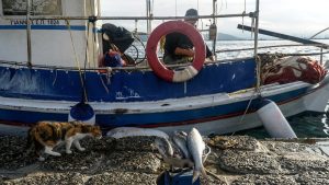 Αστυπάλαια: Ψαράς “πάλεψε” με την κακοκαιρία για να σώσει το καΐκι του – «Παραλίγο να είχα πνιγεί»