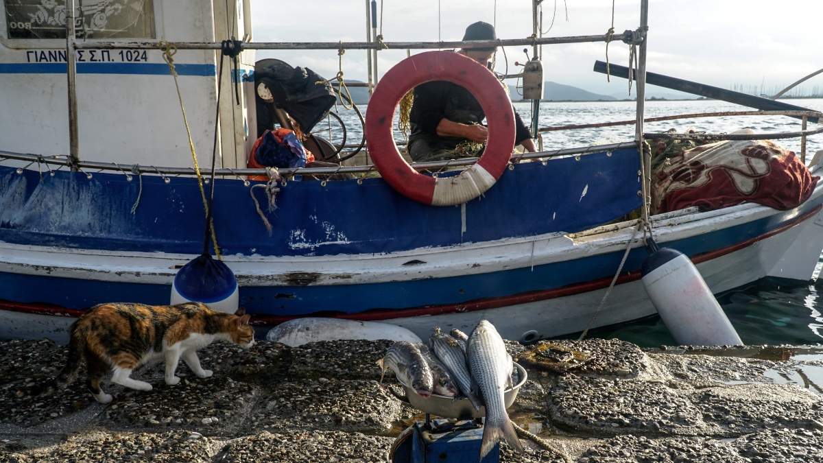 Αστυπάλαια: Ψαράς “πάλεψε” με την κακοκαιρία για να σώσει το καΐκι του – «Παραλίγο να είχα πνιγεί»