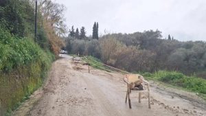 Κέρκυρα: Σύσκεψη για την αποκατάσταση των ζημιών από την κακοκαιρία – Έως τις 10 Μαρτίου τα αιτήματα των Δήμων