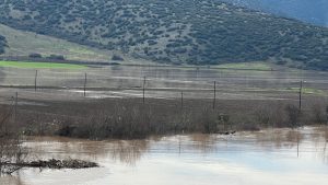 Λάρισα: Υπερχείλισε ο Πηνειός κι «έπνιξε» τις αγροτικές εκτάσεις – Εικόνες καταστροφής στον λασπωμένο Αγιόκαμπο