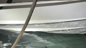 Γύθειο: Αγωνία για αγνοούμενο ψαρά- «Άκουσα ότι βρέθηκε σε λάθος τόπο την λάθος στιγμή», λέει ο ξάδελφος του