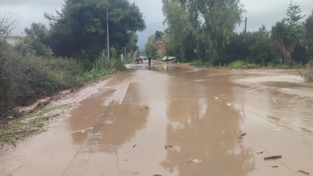 Εικόνες βιβλικής καταστροφής στη Μεσσηνία: Ξεριζώθηκαν δέντρα, δρόμοι μετατράπηκαν σε ποτάμια (Βίντεο)