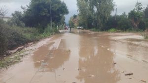 Εικόνες βιβλικής καταστροφής στη Μεσσηνία: Ξεριζώθηκαν δέντρα, δρόμοι μετατράπηκαν σε ποτάμια (Βίντεο)