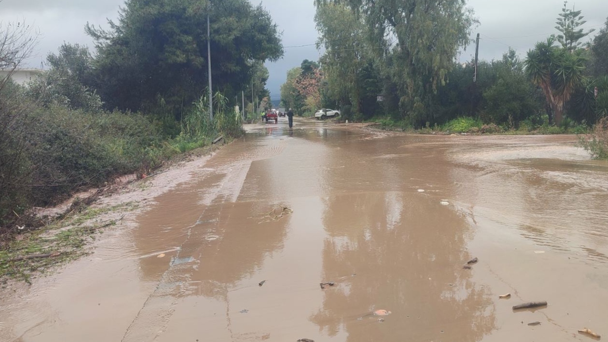 Εικόνες βιβλικής καταστροφής στη Μεσσηνία: Ξεριζώθηκαν δέντρα, δρόμοι μετατράπηκαν σε ποτάμια (Βίντεο)