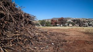 Τι αλλάζει στους καθαρισμούς των οικοπέδων με το νομοσχέδιο «Ενεργή Μάχη»