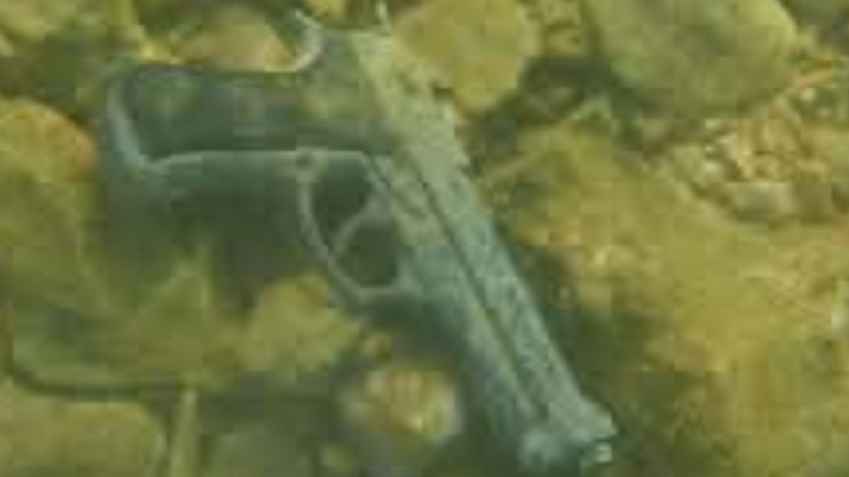 Συναγερμός στον Βόλο: Εντοπίστηκε πιστόλι στη θάλασσα στο Σουτραλί Αγριάς