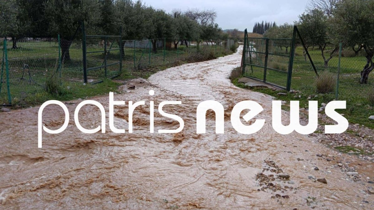 Κακοκαιρία: Μεγάλα προβλήματα σε Πύργο και Αρχαία Ολυμπία – Δρόμοι κόπηκαν στα δύο, πλημμύρισαν σχολεία και σπίτια (βίντεο)