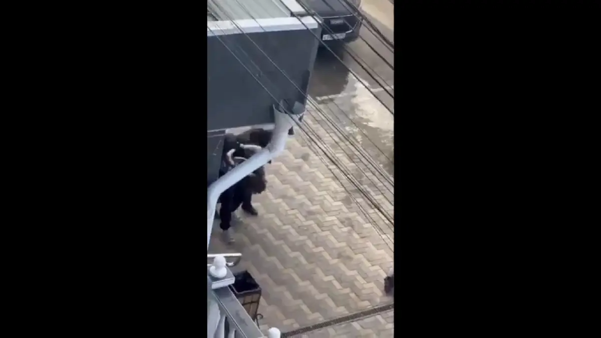 Ρωσία: Μαθητής άνοιξε πυρ σε τεχνικό σχολείο – Ένας νεκρός και δύο τραυματίες
