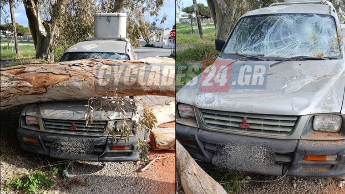 Σαντορίνη: Μεγάλο δέντρο έπεσε σε σταθμευμένο ΙΧ στο Καμάρι