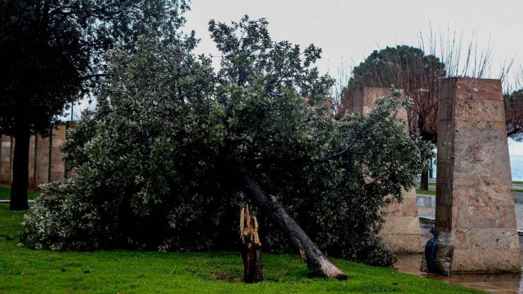 Θεσσαλονίκη: Θυελλώδεις άνεμοι ξήλωσαν στέγαστρο, τέντες και ξερίζωαν δέντρα στο Λευκο Πύργο (Εικόνες)