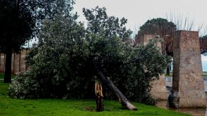 Θεσσαλονίκη: Θυελλώδεις άνεμοι ξήλωσαν στέγαστρο, τέντες και ξερίζωαν δέντρα στο Λευκο Πύργο (Εικόνες)