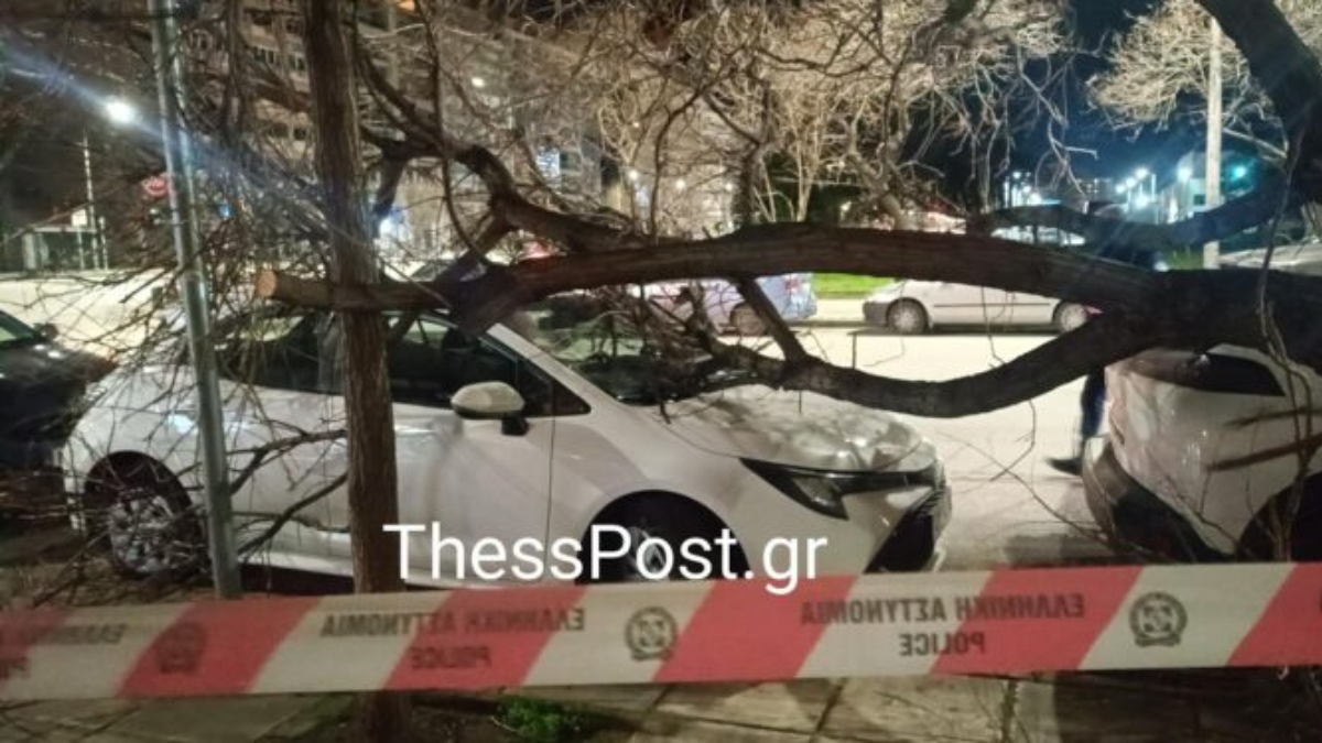 Στο έλεος του Βαρδάρη η Θεσσαλονίκη: Οι άνεμοι ξερίζωσαν δέντρα κι έπεσαν πάνω σε αυτοκίνητα (φωτογραφίες)