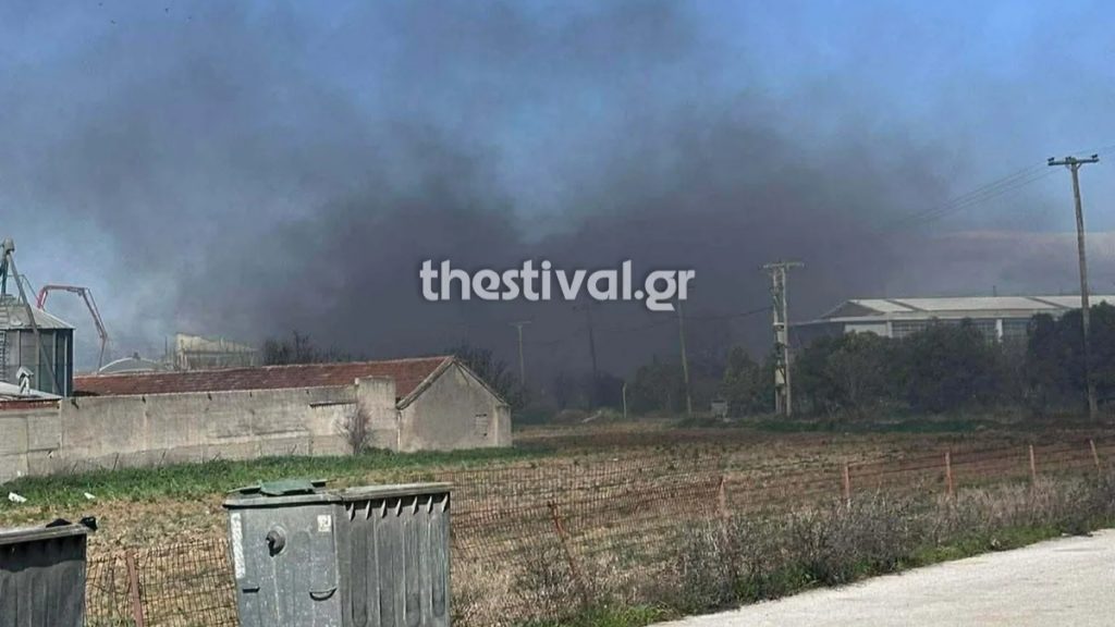 Θεσσαλονίκη: Σε εξέλιξη η πυρκαγιά σε βιοτεχνία στα Διαβατά – Τραυματίστηκε ένας πυροσβέστης (βίντεο)