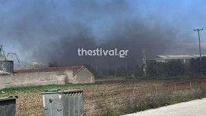 Θεσσαλονίκη: Σε εξέλιξη η πυρκαγιά σε βιοτεχνία στα Διαβατά – Τραυματίστηκε ένας πυροσβέστης (βίντεο+φωτογραφίες)